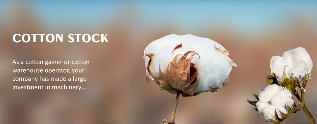 cotton The Universal Insurance Company Limited